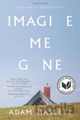 Imagine Me Gone
