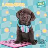 Nástenný kalendár 2025 16 mesiacov: Šteňatá labradora