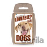 Dogs EN