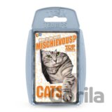 Cats EN