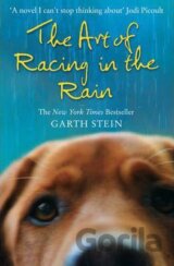 Art of Racing in Rain