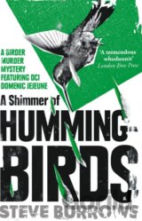 A Shimmer of Hummingbirds