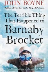 The Terrible Thing That Happened to Barnaby Brocket