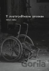 V roztrieštenom procese