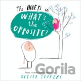 The Hueys in What's the Opposite?