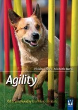 Agility
