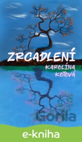Zrcadlení