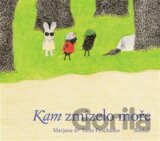 Kam zmizelo moře
