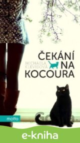 Čekání na kocoura