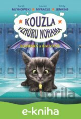 Kouzla vzhůru nohama - Kamínky a balvany
