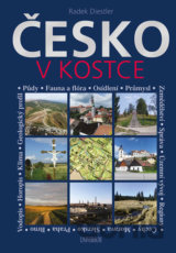 Česko v kostce