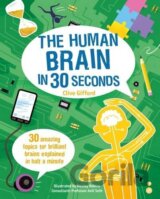 The Human Brain in 30 Seconds