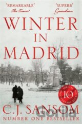 Winter in Madrid