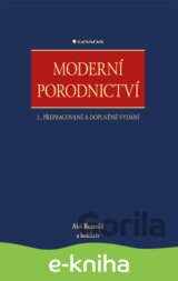 Moderní porodnictví