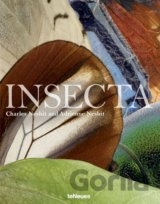 Insecta