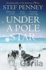 Under a Pole Star