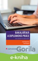Bakalářská a diplomová práce