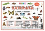 Súbor 24 kariet - Zvieratá (hmyz)
