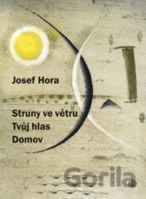 Struny ve větru, Tvůj hlas, Domov