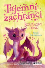Tajemní zachránci: Bouřkový drak