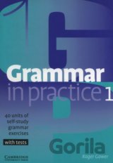 Grammar in Practice 1