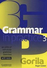 Grammar in Practice 3