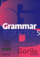 Grammar in Practice 5