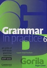 Grammar in Practice 6