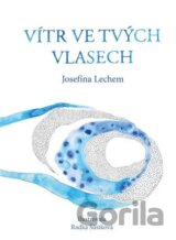 Vítr ve tvých vlasech
