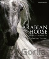 The Arabian Horse