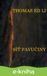Síť pavučiny
