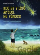 Kdo by v létě myslel na Vánoce