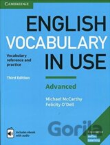 English Vocabulary in Use: Advanced
