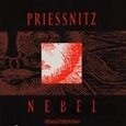 PRIESSNITZ: NEBEL