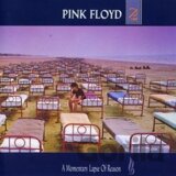 Pink Floyd: A Momentary Lapse Of Reason LP