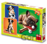 Puzzle 3x55 Psí sportovci