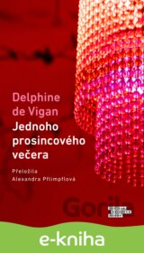 Jednoho prosincového večera