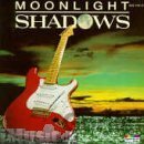 Shadows: Moonlight Shadows