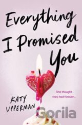 Everything I Promised You