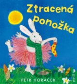 Ztracená ponožka