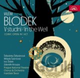 Vilém Blodek: V studni