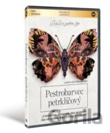 Pestrobarvec petrklíčový (Motýle 2014)
