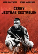 Černý jestřáb sestřelen (BIG FACE)