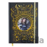 Zápisník Harry Potter - Hermione and Spells