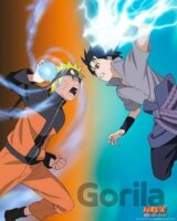 Plagát Naruto Shippuden - Naruto vs. Sasuke