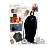 Sada magnetiek Harry Potter - Severus Snape (8 ks)