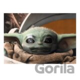 Plagát 3D - The Mandalorian, Grogu