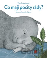 Co mají pocity rády?