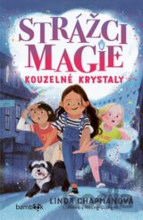 Strážci magie – Kouzelné krystaly