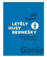 Letěly husy bernešky